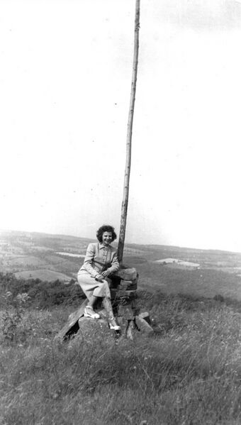 File:Flagpole on Mt. Grippee 1.jpg