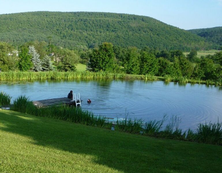 File:Ralph's pond 3- June 2009.jpg