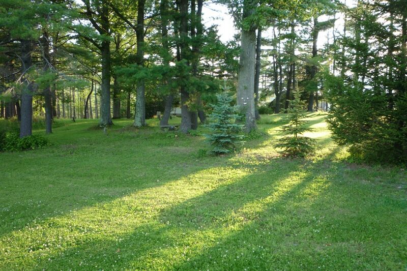 File:Pine Grove Cem. June 2009.jpg