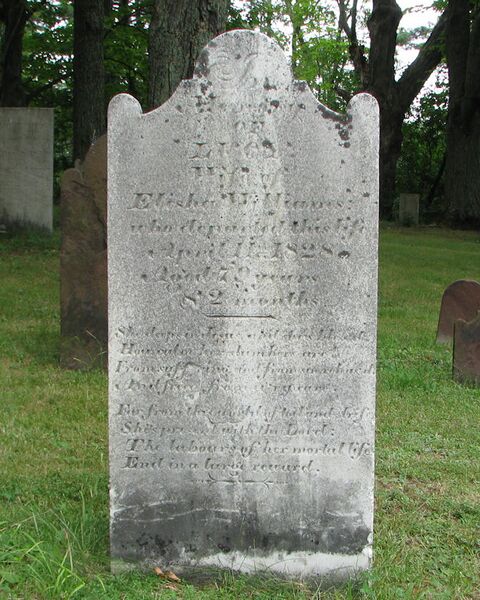File:Grave-Knox-HP-WilliamsLucia.jpg